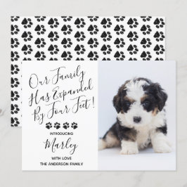 Neue Ankündigung von Hunden für Haustiere