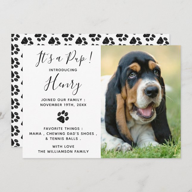 Neue Ankündigung von Hunden für Haustiere (Vorne/Hinten)