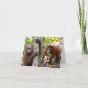 Neue Baby-Ankündigung Ankündigung