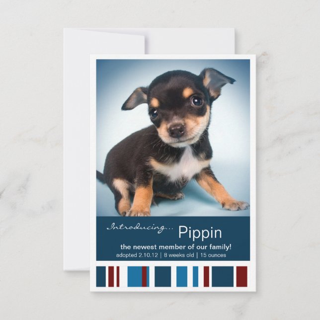 Neue Blaue Streifen für die Ankündigung von Jungti (Vorderseite)