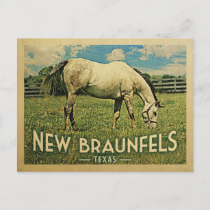 Neue Braunfels Texas Horse Farm - Vintage Reise Postkarte