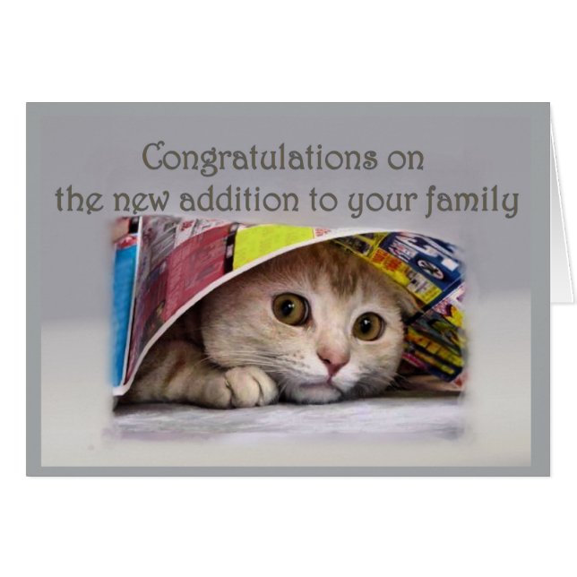 Neue Cat-Adresse für die Familie (Vorderseite (Horizontal))