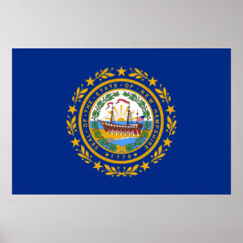 Neue Flagge des Staates Hampshire Poster