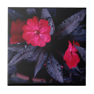 Neue Guinea Impatienten Keramik Tile Fliese