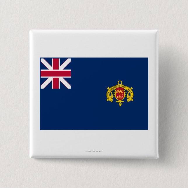 Neue Hampshire-Fahne für das zweite Regiment Button (Vorderseite)