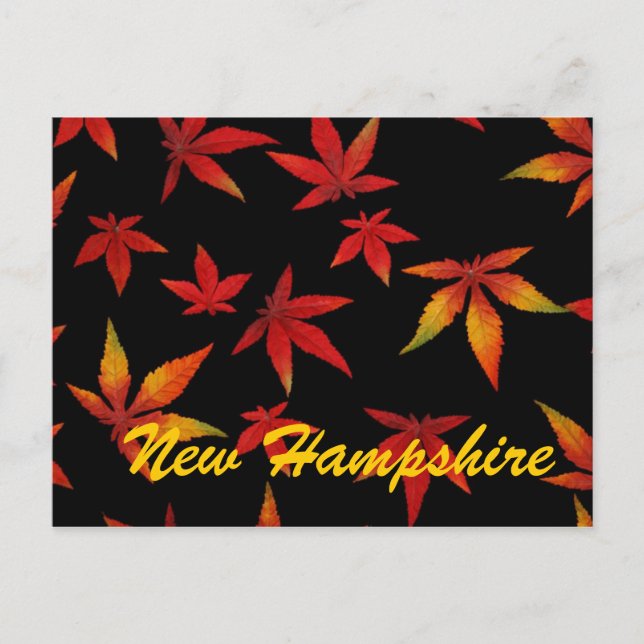 Neue Hampshire Herbst Blätter Postkarte (Vorderseite)