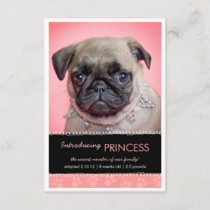 Neue Haustier-Rosa-Tatze druckt Foto-Mitteilung Ankündigung