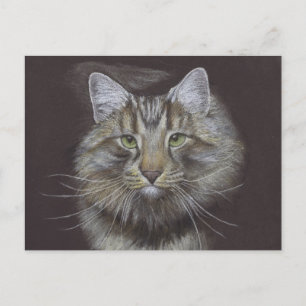 Neue Haustierankündigung Postkarte