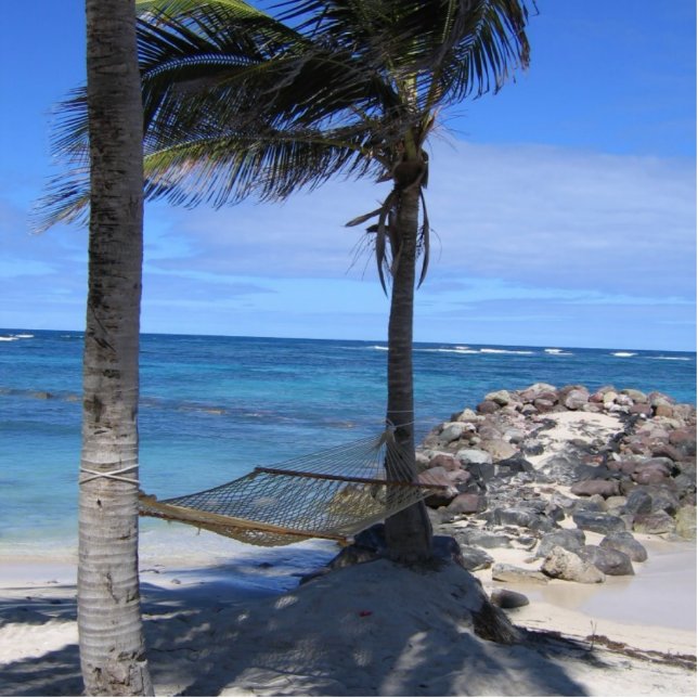 Neue Jahre Tageshängematten- Freistehende Fotoskulptur (Vorne)