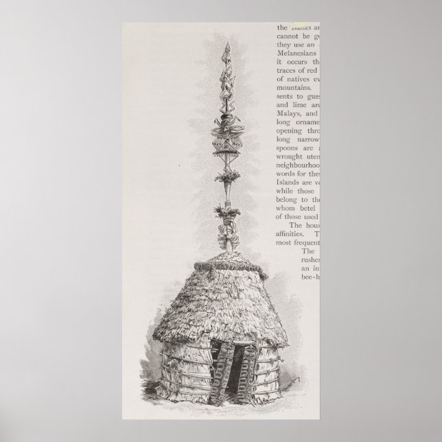 Neue kaledonische Hütte Poster (Vorne)