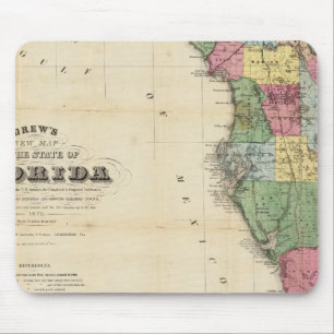 neue Karte des Staat von Florida Gezeichnet Mousepad