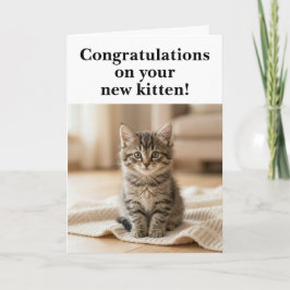 Neue Katze Herzlichen Glückwunsch Süß Gefühlsdusel Karte