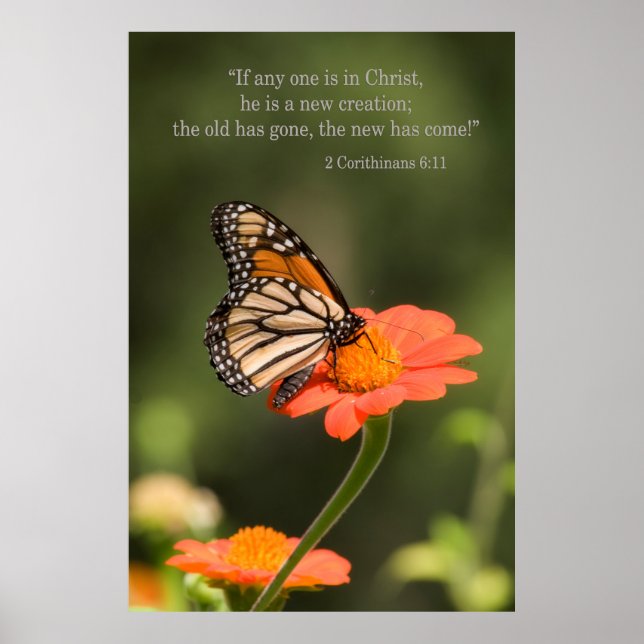 Neue Kreation Poster (Vorne)