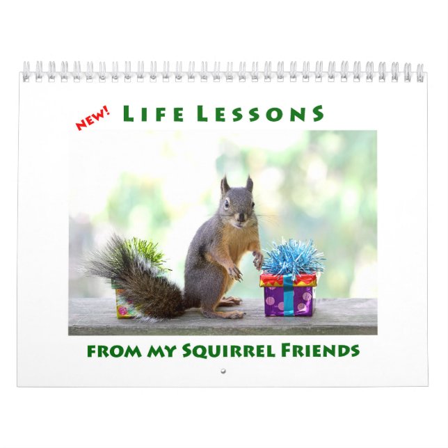 Neue Lebensläufe Funny Squirrel Kalender (Titelbild)