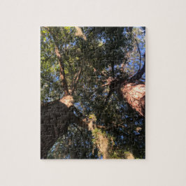 Neue Perspektive Puzzle