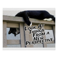 Neue Perspektive zur Motivierung von Cat Foto Art
