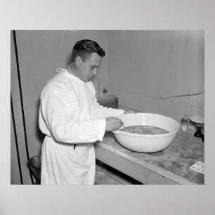 Neue Reihe des Pneumonie-Impfstoffs: 1937 Poster