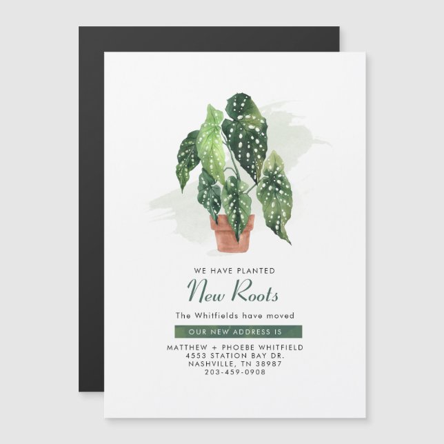 Neue Roots-Änderung der Ankündigung zur Adressumse (Vorne/Hinten)