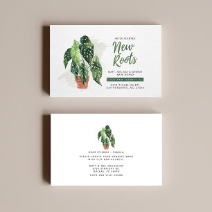 Neue Roots-Änderung der Ankündigung zur Adressumse