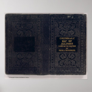 Neue Schnittkarte des Staat von Illinois 3 Poster