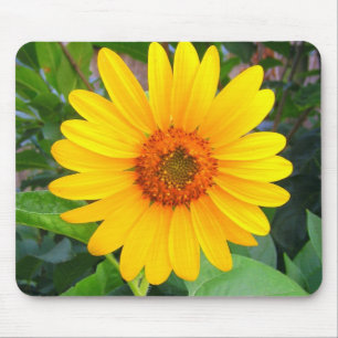 Neue Sonnenblume Mousepad
