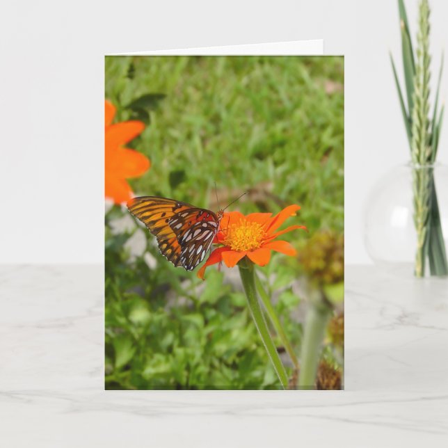 Neue Startkarte Karte (Vorderseite)