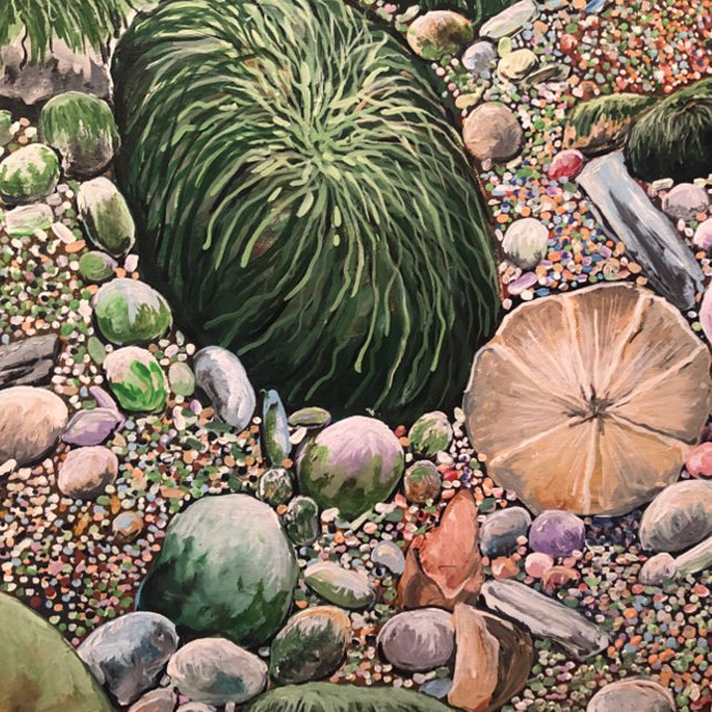 Neue Vogelsammlung Schneidebrett (A Sand Dollar On the Beach in its Natural Setting. An Acrylic Painting.)