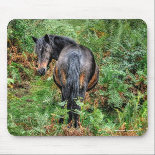 Neue Waldpony & Bracken für Pferdefreunde Mousepad