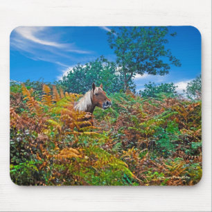 Neue Waldpony & Bracken für Pferdefreunde Mousepad