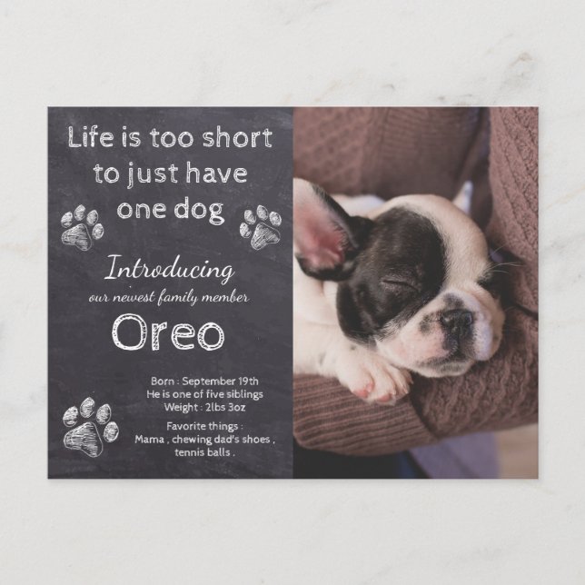 Neue Welpe - Welpe-Hund-Halbpension Welpe Ankündigungspostkarte (Vorderseite)