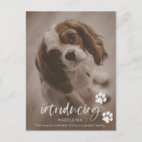 Neue Welpen- oder Hundeankündigung, Adoption für H