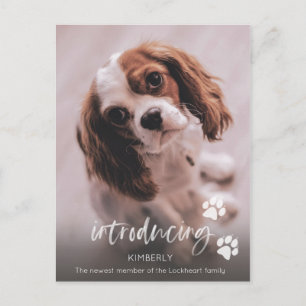 Neue Welpenankündigung, Adoption für Erwachsene Postkarte