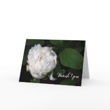 Neue White Peony Floral Fotografy Dankeschön Karte