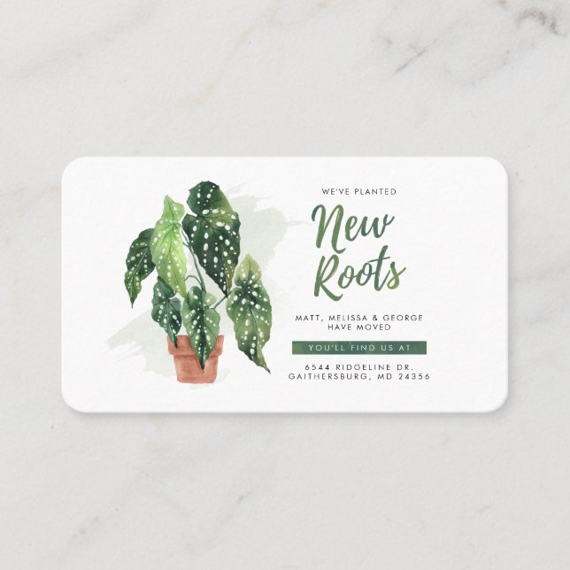 Neue Wurzeln Wir haben Chic Moving Ankündigung ver (Vorderseite)