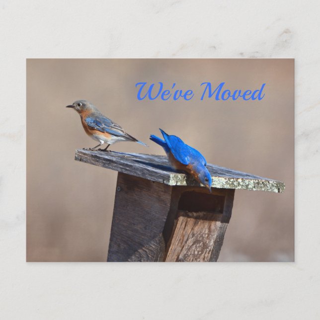 Neue Zuhause-Ankündigung Ankündigungspostkarte (Vorderseite)