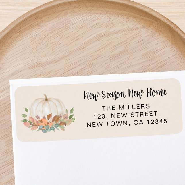 Neue Zuhause Pumpkin-Rücksendeadresse (Von Creator hochgeladen)