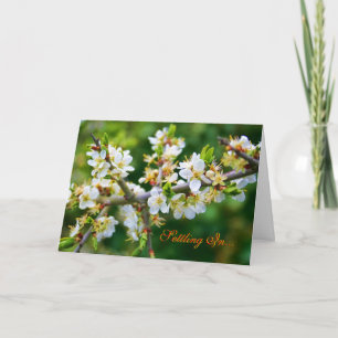 Neue Zuhause - Sun-Dappled Spring Hawthorn Ankündigung