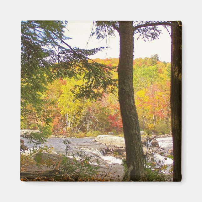 Neuengland Herbst 127 Magnet (Vorne)