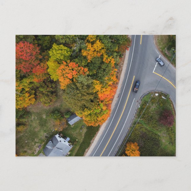 Neuengland Herbststraßen Postkarte (Vorderseite)