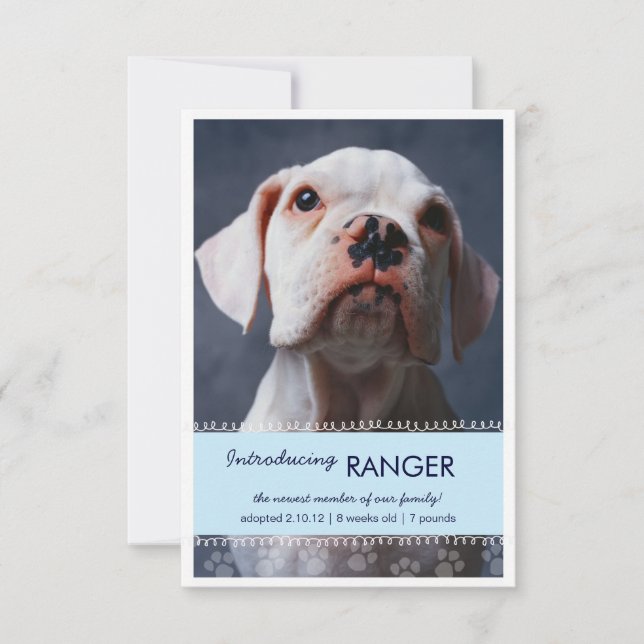 Neuer Blauer Pfotendruck für die Ankündigung von J (Vorderseite)