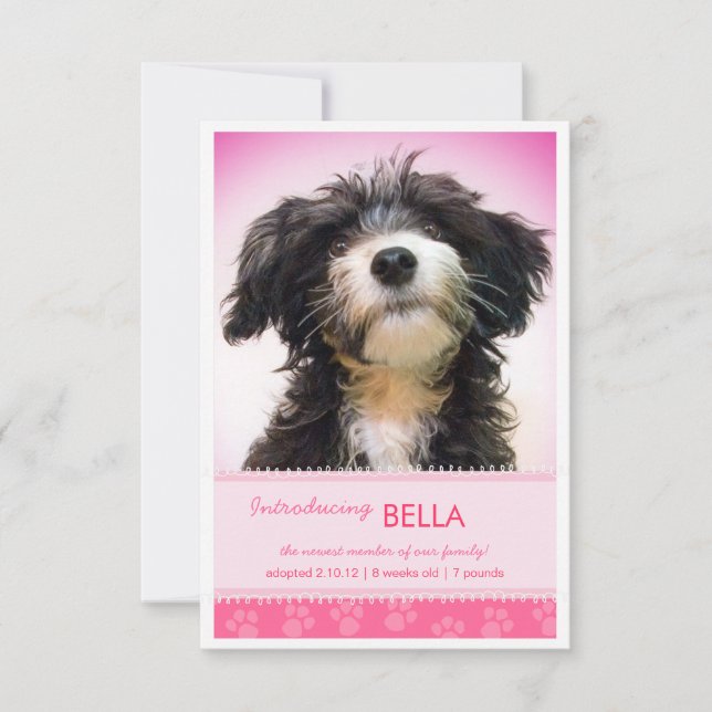 Neuer Pink-Pink-Paw-Druck für die Ankündigung von  (Vorderseite)