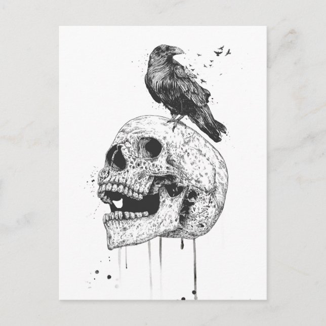Neuer Schädel (bw. Postkarte (Vorderseite)