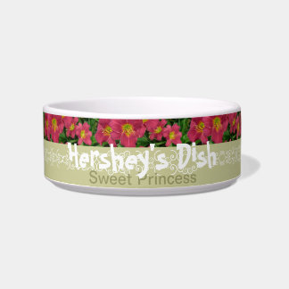 Neuer Tag arbeitet Haustier-Teller-Taglilie P.M. Napf