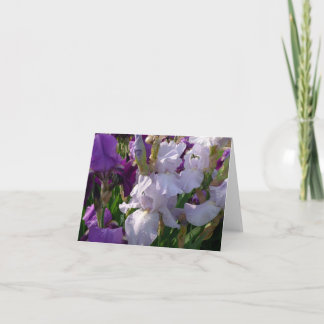 Neuer Tag arbeitet Notecard-Iris 'Eelanors Pride Karte