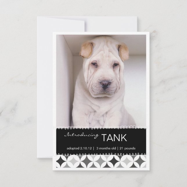 Neuer Termin für die Runden B&W des Fotos Ankündigung (Vorderseite)