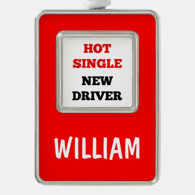 Neuer Treiber für den Hot Single Rahmen-Ornament Silber (Vorderseite)