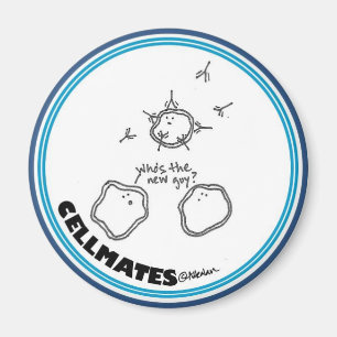 Neuer Typ-Magnet Magnet