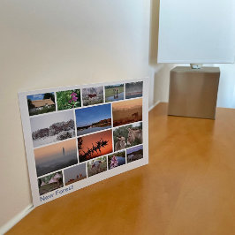 Neuer Wald - Mehrbild 2 Postkarte