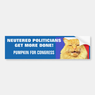 Neuere Politiker werden besser erledigt - Cat Meme Autoaufkleber