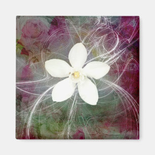 Neues 5 großes Square Magnet